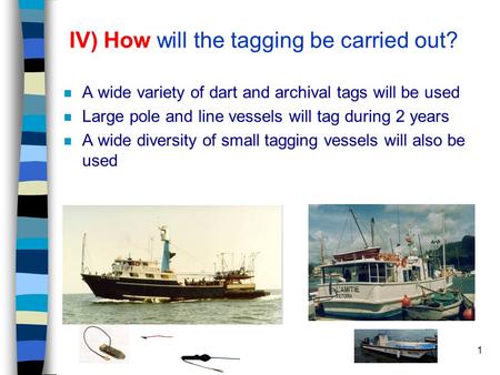 1 IV) How will the tagging be carried out? n A wide variety of dart and archival tags will be used n Large pole and line vessels will tag during 2 years.