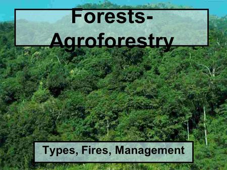 Forests- Agroforestry Types, Fires, Management. Types of Forests Old growth: uncut forests ( 