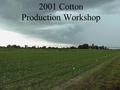 2001 Cotton Production Workshop. Waiting until spring to control weeds glyphosate or paraquat PLUS Aim, Caparol, Clarity, Direx, Harmony Extra, Goal,