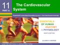 cardiovascular system powerpoint presentation