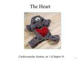 The Heart 1 Cardiovascular System, pt. 1 (Chapter 9)