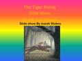The Tiger Rising Slide show Book By Kate DiCamillo Slide show By Isaiah Stokes.