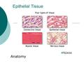 Epithelial Tissue Anatomy. What are tissues?  Groups of cells that are similar in structure and perform a common function  Histology: the study of tissues.