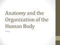 Anatomy and the Organization of the Human Body Biology.