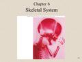 6-1 Chapter 6 Skeletal System. 6-2 Functions Support Protection Movement Storage Blood cell production.
