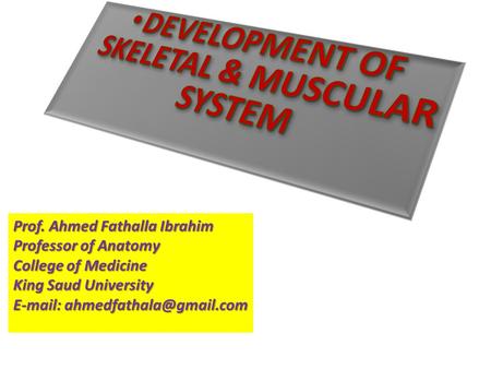 Prof. Ahmed Fathalla Ibrahim Professor of Anatomy College of Medicine King Saud University