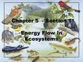 Chapter 5 - Section 1 Energy Flow In Ecosystems. Ecosystem = interacting system that involves both organisms and their nonliving environment includes….