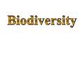 What is Biodiversity? Definition: the number and variety of living organisms in an area.