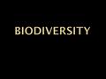 A B Which do you like better? AB AB Bio = Bio diversity What does “ Bio ” mean?