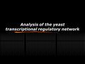 Analysis of the yeast transcriptional regulatory network.