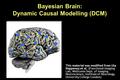 Bayesian Brain: Dynamic Causal Modelling (DCM) This material was modified from Uta Noppeney et al. (Functional Imaging Lab, Wellcome Dept. of Imaging Neuroscience,