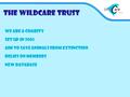 The Wildcare Trust We are a charity Set up in 2005 Aim to save animals from Extinction Relies on members New database.