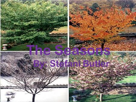 The Seasons By: Stefani Butler.  §112.4. Science, Grade 2  2b (B) plan and conduct simple descriptive investigations; (D) gather information using simple.