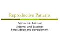Reproductive Patterns Sexual vs. Asexual Internal and External Fertilization and development.