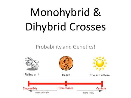 Monohybrid & Dihybrid Crosses Probability and Genetics!
