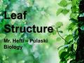 Leaf Structure Mr. Hefti – Pulaski Biology. Identification: 1.Cuticle 2.Upper epidermis 3.Mesophyll Transport tissues Xylem Phloem Palisade layer Spongy.
