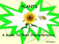 PLANTS A Guide To Plant Characteristics Biologyguy.