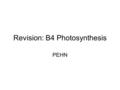 Revision: B4 Photosynthesis PEHN. Section of a leaf.