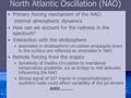 North Atlantic Oscillation (NAO) Primary forcing mechanism of the NAO: internal atmospheric dynamics How can we account for the redness in the spectrum?