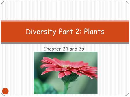 Chapter 24 and 25 Diversity Part 2: Plants 1. Photosynthesis Carbon Dioxide + Water  Glucose + Oxygen How does a plant obtain the carbon dioxide it needs.
