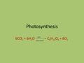 Photosynthesis 6CO 2 + 6H 2 O C 6 H 12 O 6 + 6O 2 Light Chlorophyll.