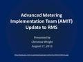 Advanced Metering Implementation Team (AMIT) Update to RMS Presented by Christine Wright August 17, 2011