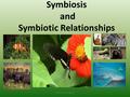 Symbiosis and Symbiotic Relationships © 2014HappyEdugator.