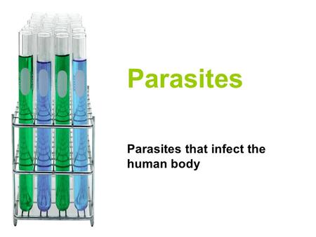 Parasites Parasites that infect the human body. Pinworm This is very common in young children it is usually transmitted from child to child The main symptom.