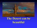 The Desert can be beautiful. Surprisingly full of life.
