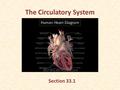 The Circulatory System Section 33.1. Functions of the Circulatory System Needed because the body has millions of cells. Transports nutrients, oxygen,