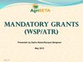 Mandatory Grants (WSP/ATR) Presented by Sipho Ndala/Racquel Bergman May 2012.