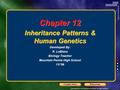 Copyright © by Holt, Rinehart and Winston. All rights reserved. ResourcesChapter menu Chapter 12 Inheritance Patterns & Human Genetics Developed By: R.