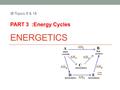 ENERGETICS IB Topics 5 & 15 PART 3 :Energy Cycles.