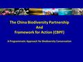 The China Biodiversity Partnership And Framework for Action (CBPF) A Programmatic Approach for Biodiversity Conservation.