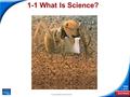 End Show Slide 1 of 21 Copyright Pearson Prentice Hall 1-1 What Is Science?