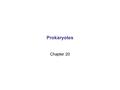 Prokaryotes Chapter 20. Figure 5.1 The Scale of Life.