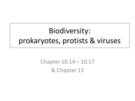 Biodiversity: prokaryotes, protists & viruses Chapter 10.14 – 10.17 & Chapter 13.