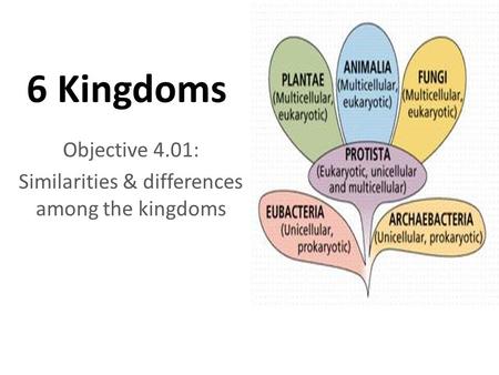 6 Kingdoms Objective 4.01: Similarities & differences among the kingdoms.