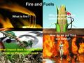Fire and Fuels What is fire? How do we put fires out safely? Why are some fuels better than others? What impact does burning fuels have on the environment?