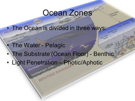 Ocean Zones The Ocean is divided in three ways: The Water - Pelagic The Substrate (Ocean Floor) - Benthic Light Penetration – Photic/Aphotic.