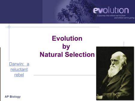 AP Biology 2006-2007 Evolution by Natural Selection Darwin: a reluctant rebel.