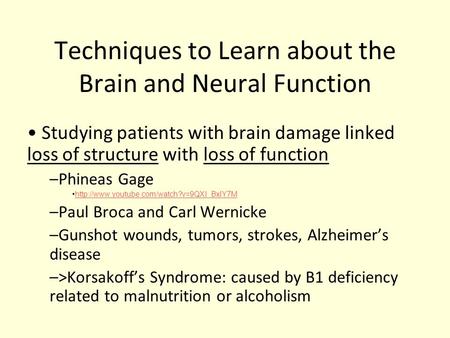 Techniques to Learn about the Brain and Neural Function Studying patients with brain damage linked loss of structure with loss of function –Phineas Gage.