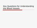 Key Questions for Understanding the Blood Vessels.
