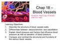 Chap 18 – Blood Vessels Learning Objectives: 1.Describe the structure of blood vessels walls. 2.Differentiate between vasoconstriction and vasodilation.