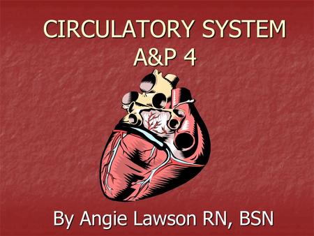 CIRCULATORY SYSTEM A&P 4 By Angie Lawson RN, BSN.