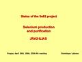 Status of the Se82 project Selenium production and purification JRA2-ILIAS Prague, April 20th, 2006, IDEA-N4 meetingDominique Lalanne.