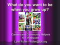 What do you want to be when you grow up? Careers and Community Helpers K-1 Webquest Lynn Fuller -