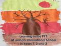 Learning in the PYP at Luanda International School in Years 1, 2 and 3.