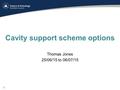Cavity support scheme options Thomas Jones 25/06/15 to 06/07/15 1.