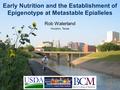 Early Nutrition and the Establishment of Epigenotype at Metastable Epialleles Rob Waterland Houston, Texas.